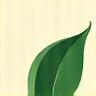 Leaf icon representing sustainability